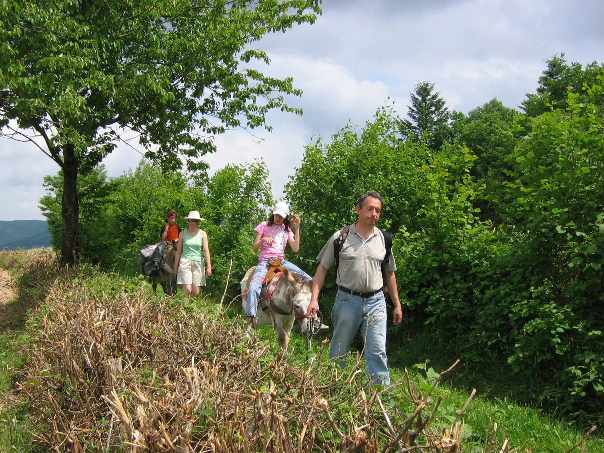 Balade avec les anes en Sud Bourgogne