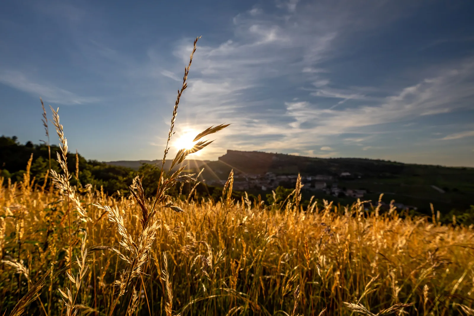 Un concentré de Bourgogne “très Sud”