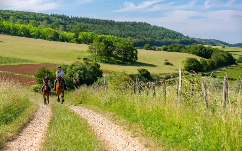 Vivez une aventure au galop