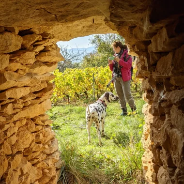 Hébergements avec animaux acceptés