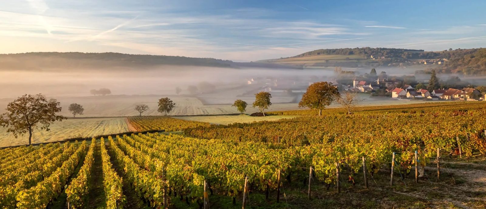 Au fil des 4 saisons